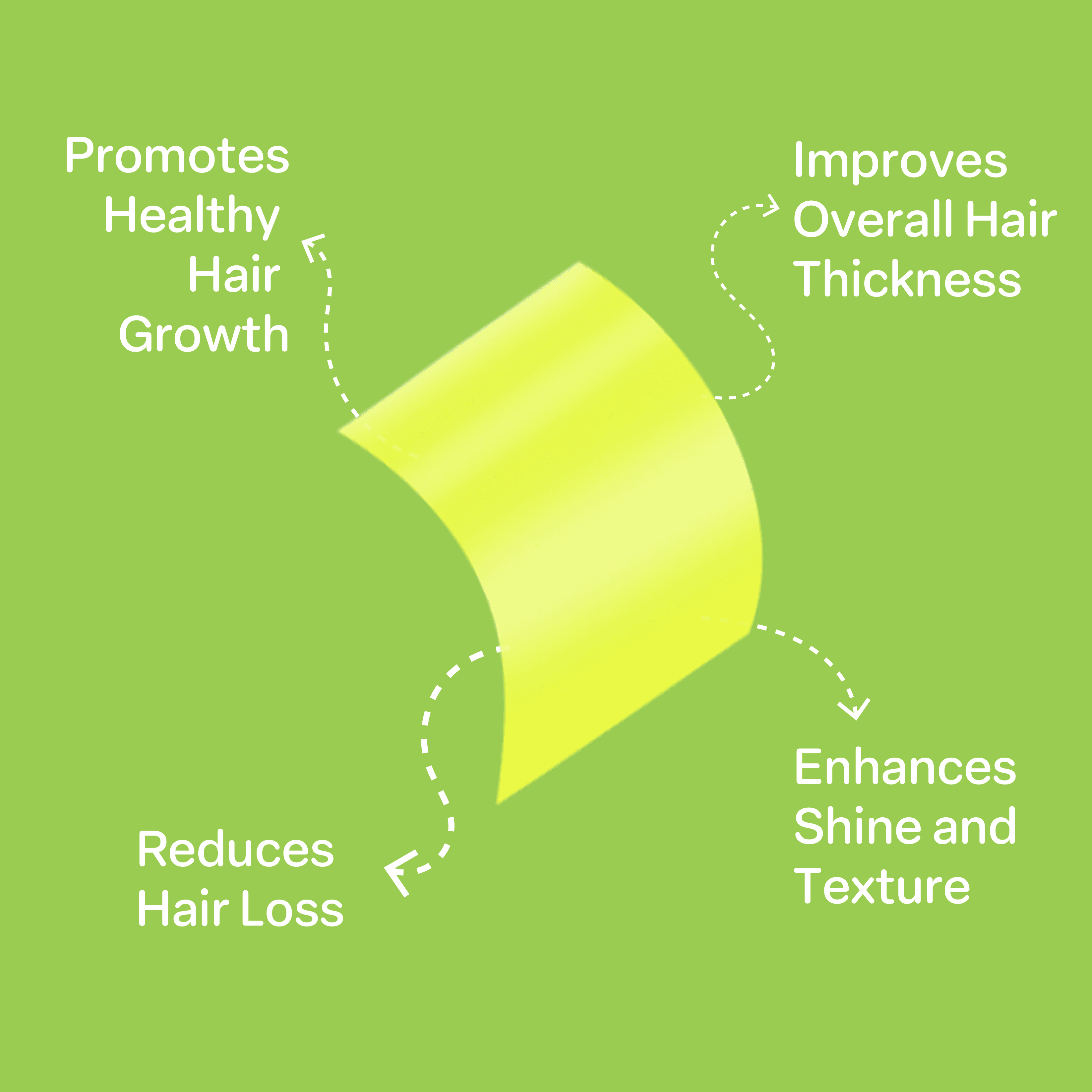 Hair Care — image 3