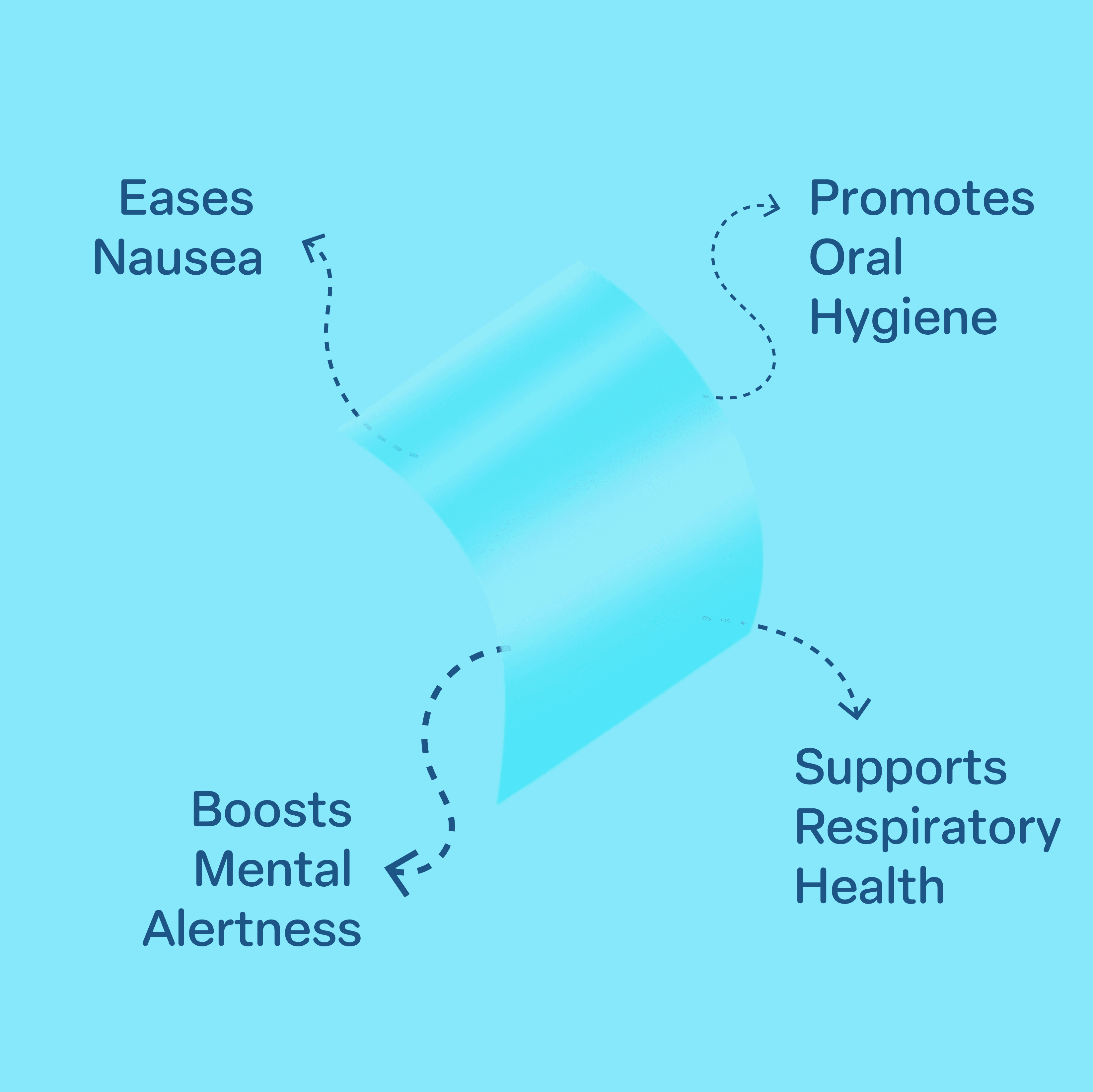 Mint Mouth Freshener — image 3